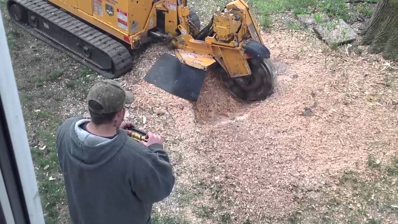 Stump Grinder via remote control YouTube