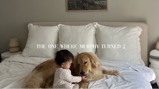 vlog: muprhy&#39;s 2nd birthday + embracing the stay at home mom life + my newest obsession