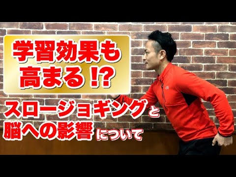 絶賛スロージョギング効果 芋太郎のダイエット作戦