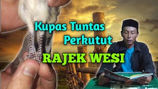 Katuranggan Perkutut Rajekwesi