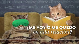 ¿Me voy o me quedo en esta relación? | Martha Debayle