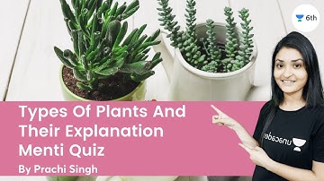 Types Of Plants And Their Explanation | Menti Quiz | Science | Unacademy 6th | Prachi Singh