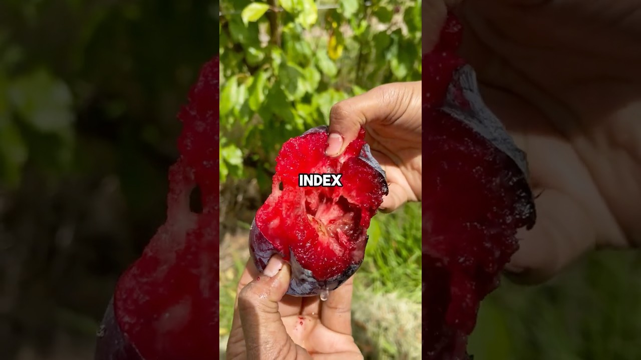 5 fruits diabetics can eat to lower blood sugar 