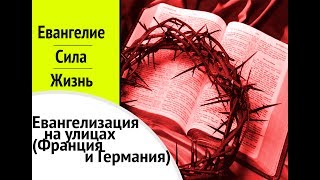 Поездка в Европу | IstinaTV