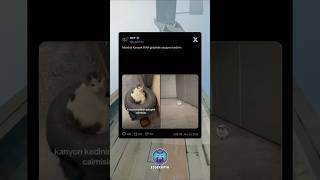 Bu video kurtulmak isteyenler için