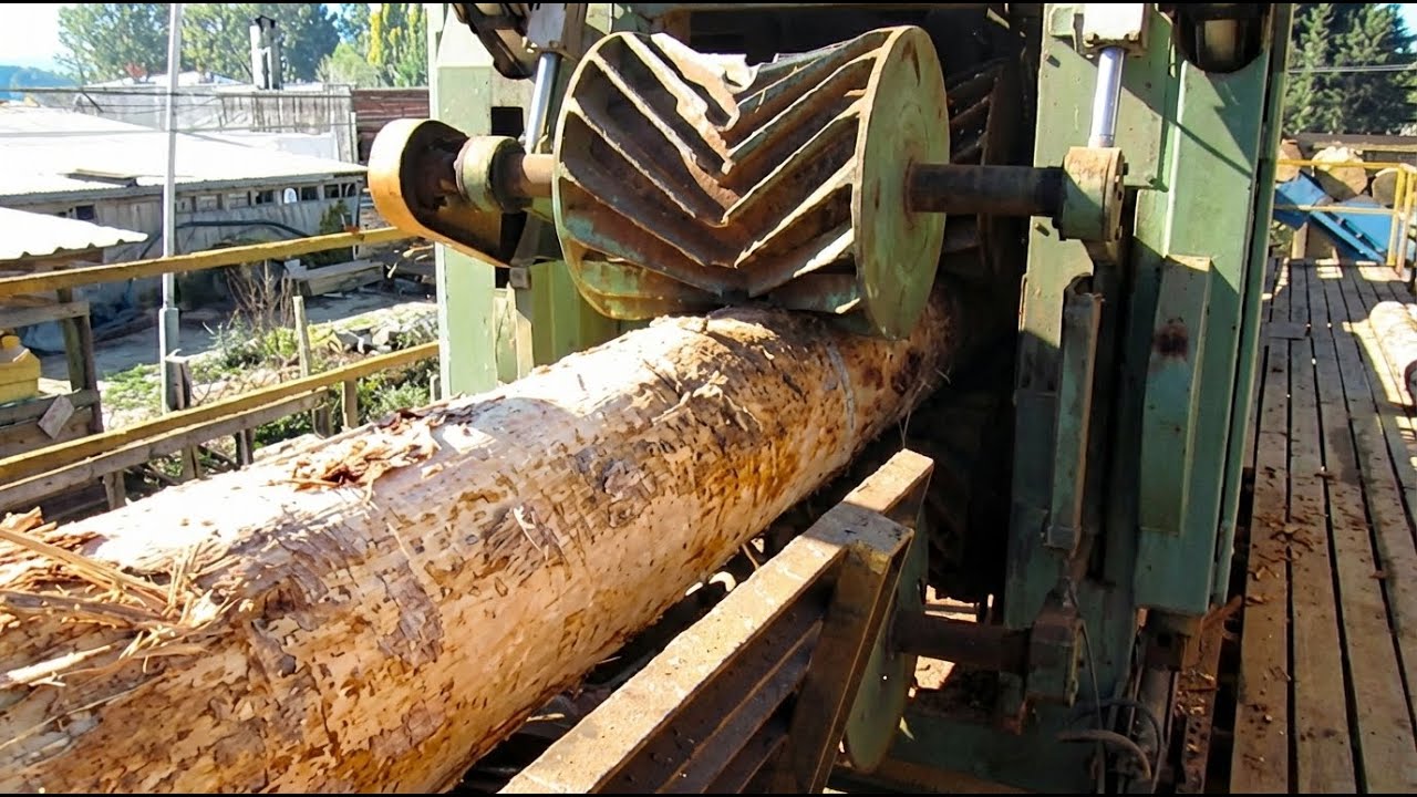 Amazing Automatic Wood Sawmill Machines Modern Technology - EXTREME ...