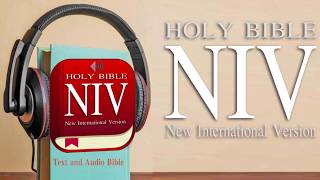 Holy Bible NIV Audio Version Free app instail now! screenshot 2