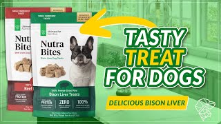 Dogs All Over the World LOVE These Delicious Treats | Nutra Bites by Ultimate Pet Nutrition 54 views 2 months ago 2 minutes, 51 seconds