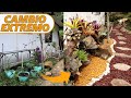 Transformando un espacio sucio y desordenado en un JARDÍN DE BROMELIAS