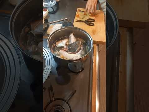 Try how to make buri kama daikon (simmered yellow tail with radish) #my own way