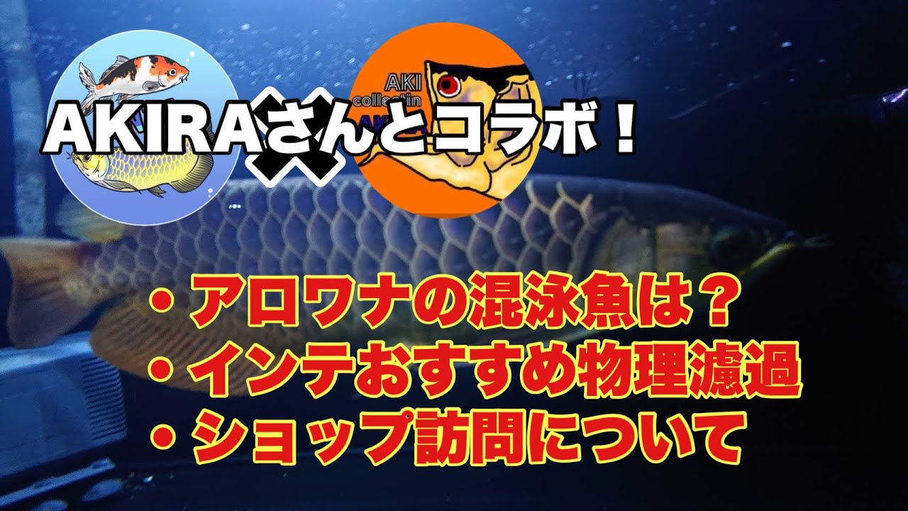 AKIRAさんと雑談コラボ