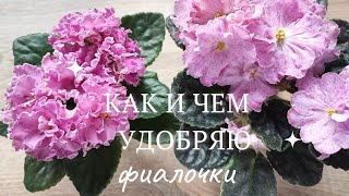 Эпизод 14. Как и чем удобряю листики, детки, стартеры, розетки