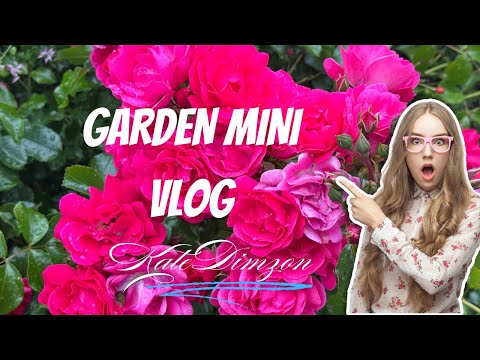 BAKIT GANITO NANGYARI SA MGA ROSES //GARDEN VLOG