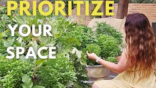 Next Season Garden Planning: Prioritize Your Space, Your Purpose, and Your Planting Choices