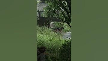 Hillcrest Headhunter!!: The Last of Us Part II #tlou2 #gaming #ellie