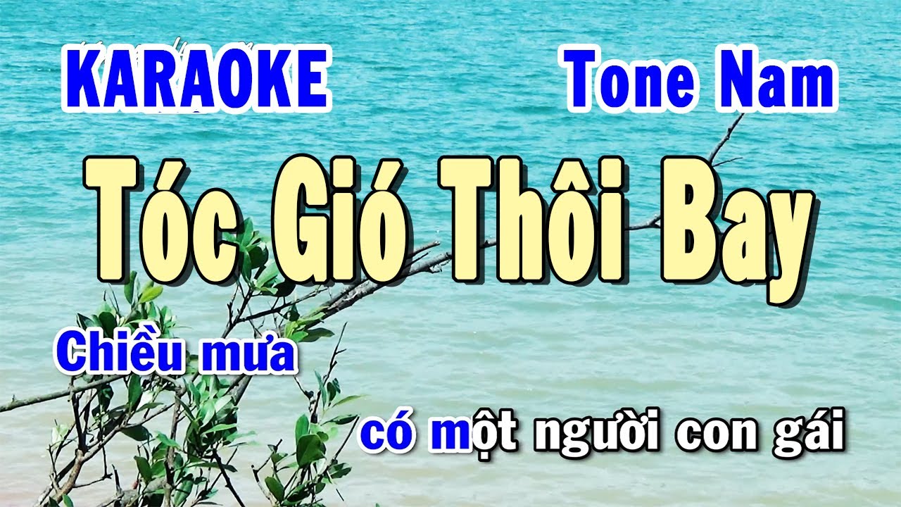 Tóc gió thôi bay  Hòa tấu những TK bất tử vol 11