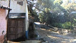 Picture or Video 879.AVI