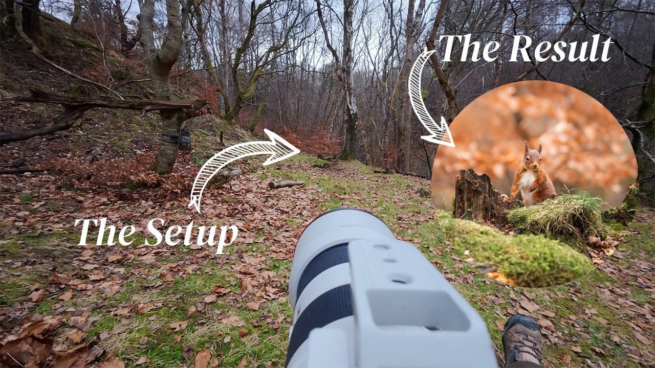 Мой тур по наблюдению за дикой природой Шотландии начинается!