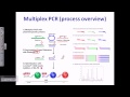 Multiplex PCR