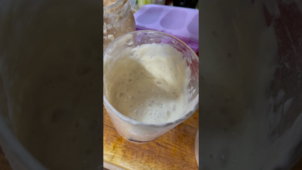 My sourdough starters