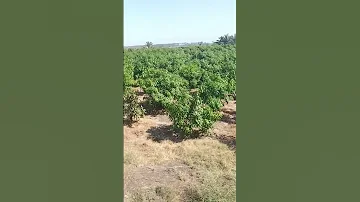 تركت الناس كلهم ورائى وجئت إليك 