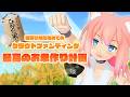 【猫宮ひなた初クラファン】最高のお米作り計画
