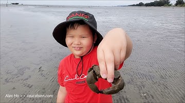 KHÁM PHÁ HIỆN TƯỢNG "BIỂN CẠN" Ở BÃI ỐC NGHÊU CẦN GIỜ | DU LỊCH CẦN GIỜ HÔM NAY