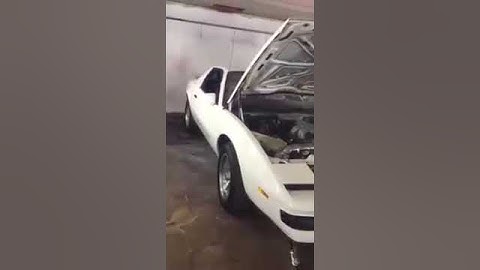 1988 Firebird Formula Dyno Day 8/22/15