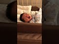 Kyle | 爸爸不要在嗚了,快抱我 |  CK兄弟