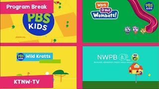 Pbs Kids Program Break 2024 Ktnw-Tv