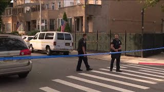 Violence in Brooklyn: Man fatally shot while walking dog