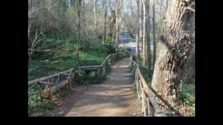 Parque natural del Monasterio de Piedra