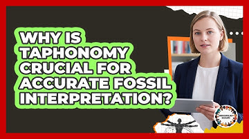 Why Is Taphonomy Crucial For Accurate Fossil Interpretation? - Anthropology Insights