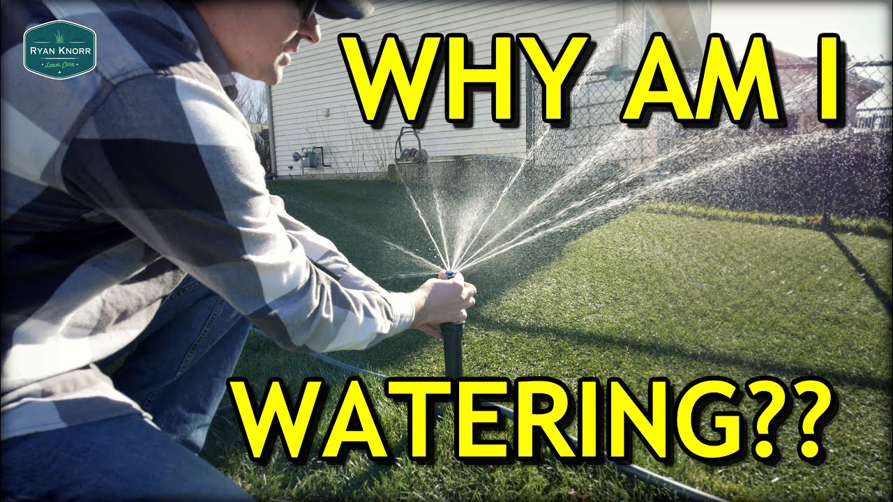 should-you-water-your-lawn-in-winter-youtube