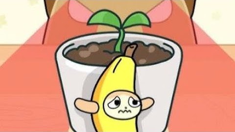 Hide and seek cat Live #catgame #hide&seekcat