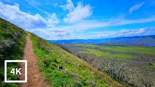 Tom McCall Point Trail | Rowena Crest Viewpoint | Columbia River Gorge | Virtual Wildflower Hikes