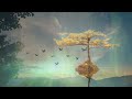 A Minute of Harmony - 5 (Sinhala)