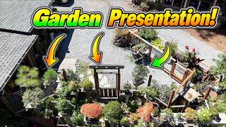 Inside Jay’s Bonsai Garden: Why Presentation Is Everything