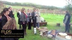 MPT Archives - Melbourne Private Tours for Aussie Specialists