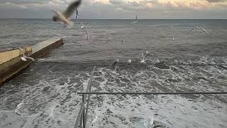 VID 20191101 171114