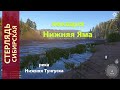 Русская рыбалка 4 - река Нижняя Тунгуска - Стерлядь перед бакенами