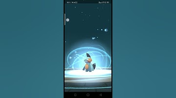 Evolving Hundred iv Mudkip into Marshtomp into Swampert in Pokemon Go