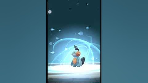 Evolving Hundred iv Mudkip into Marshtomp into Swampert in Pokemon Go