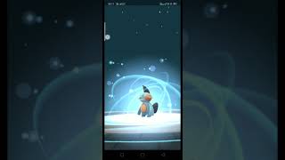 Evolving Hundred Iv Mudkip Into Marshtomp Into Swampert In Pokemon Go