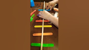 making a budgies ladder toy #shorts  #budgie  #muhabbet