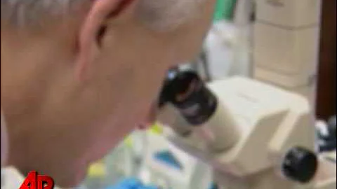 Police: DNA Ties Anchor Murder Suspect to Rape