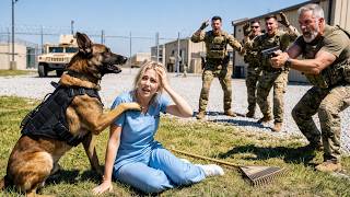 The SEAL K9 Attacked Everyone—Then Sat Beside the Nurse, Revealing Her Secret Past