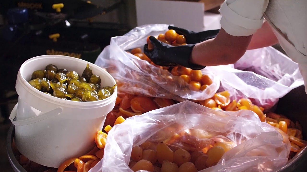 O Norte somos Nós I Portugal Nuts