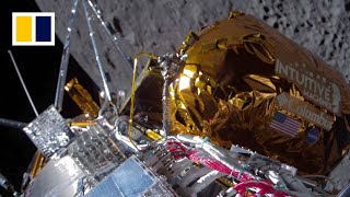 First private spaceship lands on the moon