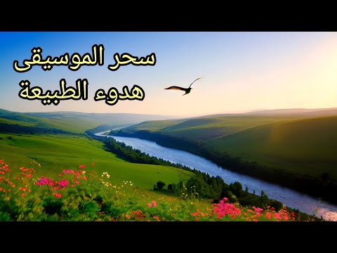 موسيقى تركية هادئة مثالية ل الكتابة أو لحظات الحنين أجمل لحظات الهدوء في الطبيعة Music Relax 